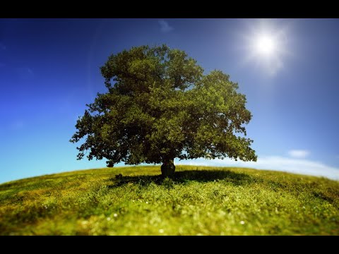 Earth Journeys - Davide Verotta