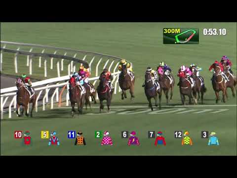 3/2/2021 (396) Hercules - J Moreira