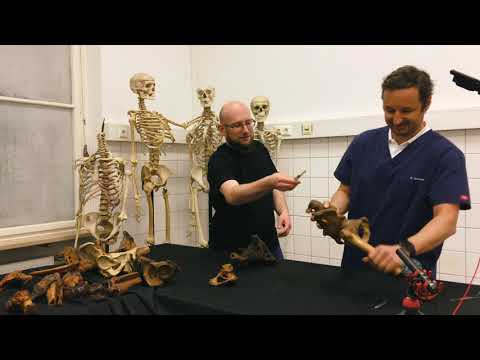 Loose in the hip? Anatomy of the articular coxae, short and sweet!