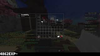 blitz donkey p2 ultimate grind