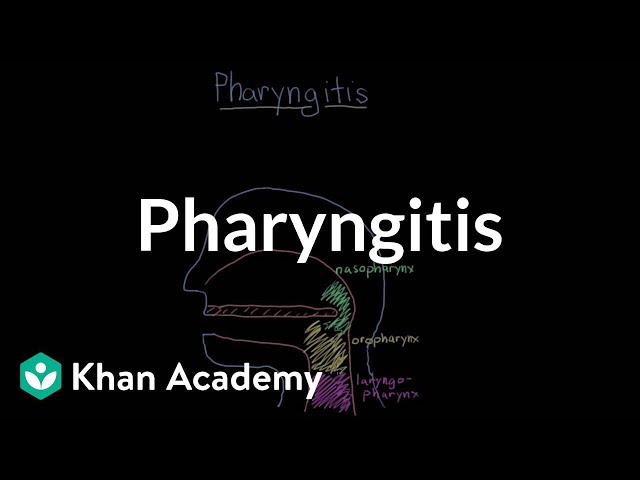 Video Aussprache von Pharyngitis in Englisch