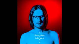 Steven Wilson-Detonation