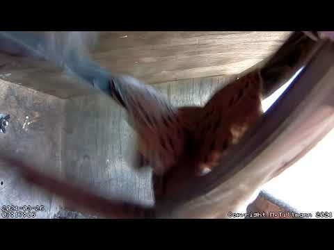 March 26th, 2021, 0716