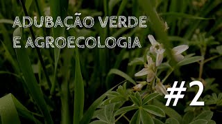 Adubação Verde e Agroecologia #2