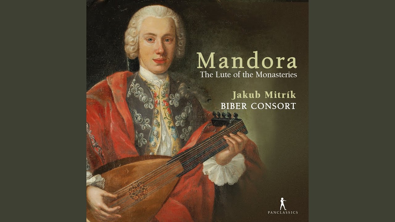 Quartet in D Major (A-Kr. L. 133/II No. 1) : I. Aria. Andante