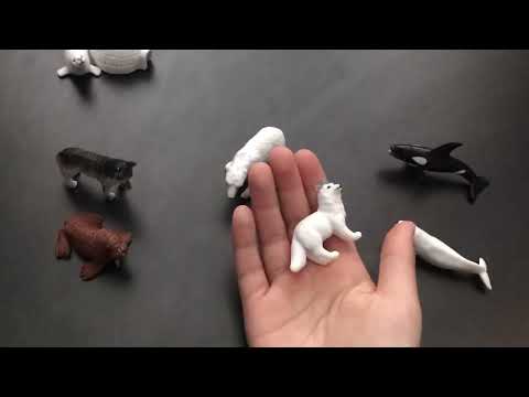 safari ltd arctic toob