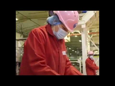 Walkers Cri sps cre ate HUGE record bre king Wotzilla