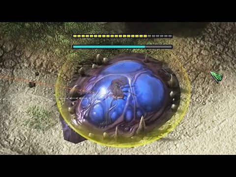 Creative Hatchery Plays - TLO vs MC [LOTV]