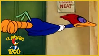 El Pajaro Loco en Español | El Arma Secreta - Dibujos Antiguos | Caricaturas para Niños