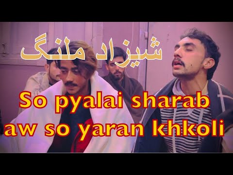 Pashto new song || shahzad malang || so pyalai sharab aw so yaran khkoli ||