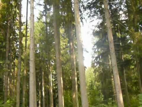 Campurile energetice ale brazilor din Muncel 2012