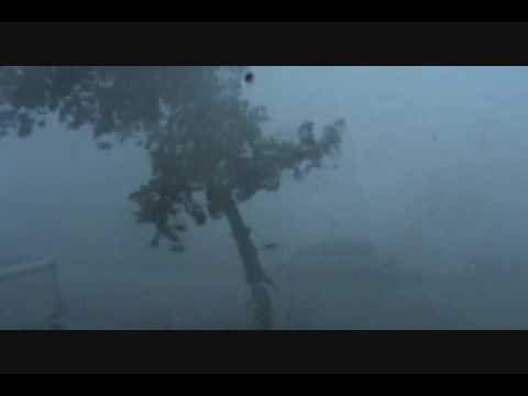 Hurricane Force Winds Snap off Tree