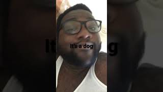 #kylemassey it’s a dog like this song