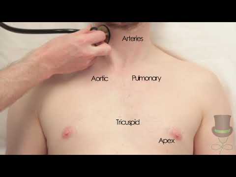 Auscultation of the Heart