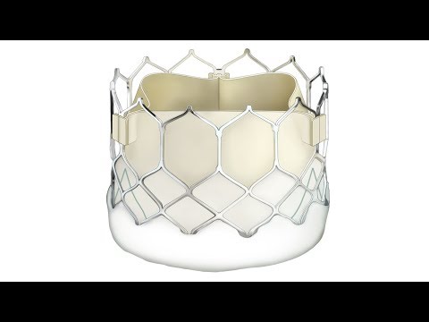 Transcatheter Aortic Valve Replacement (TAVR) for Low-Risk Patients