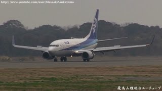 preview picture of video 'All Nippon Airways (ANA) Boeing 737-700 JA08AN landing @ Shizuoka RWY30 [March 10, 2013]'