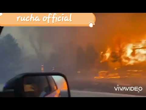 Tens of thousands flee as Colorado Wildfire burns Hundreds of homes, State of Emergency declared