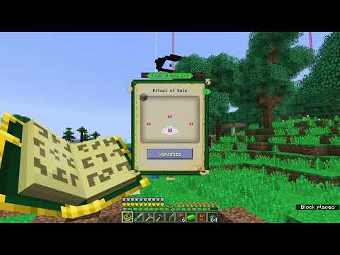 Divine Journey 2 Co-op, Chapter 16 & 18: Episode 61