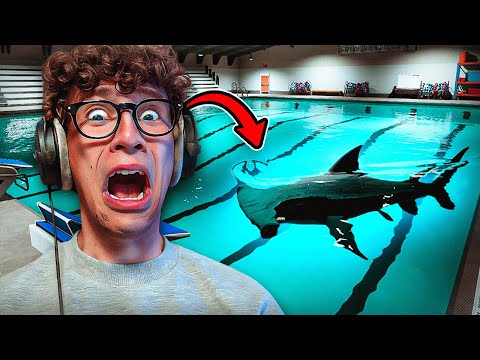 DEVO RAGGIUNGERE L’ALTRO LATO DELLA PISCINA MA C’È UNO SQUALO AL SUO INTERNO💀 | Sharks and Minnows