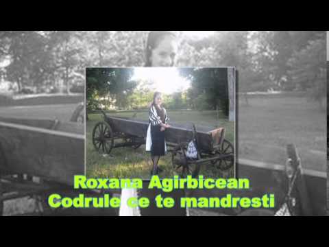 Roxana - Ioana Agirbicean (11 ani, Sibiu) - Codrule ce te mandresti