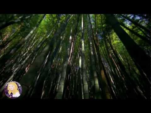 Ben Gold feat. Senadee - Today (Ferry Tayle Neverending Story Remix) Music Video