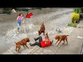 Real Life Superheroes Caught Saving People