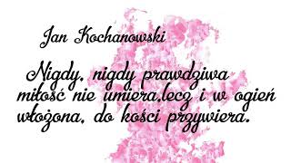 Nigdy, nigdy prawdziwa miłość nie umiera. J. Kochanowski