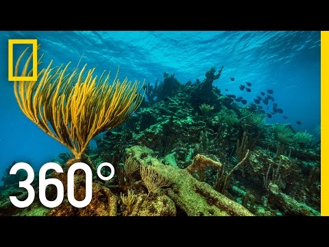 Underwater National Park 360°