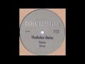 Vladislav Delay - Nesso