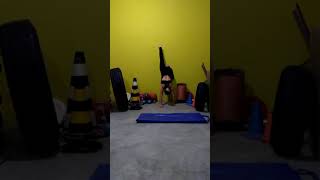 Ginástica Artistica & Acrobática -  5 Exercícios