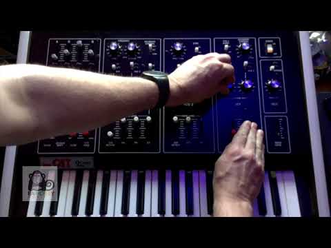 Octave Cat Demo - Making a rhythmic patch