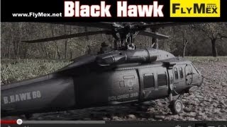 preview picture of video 'Robbe Solo Pro 319 B-Hawk Neuheit 2013'