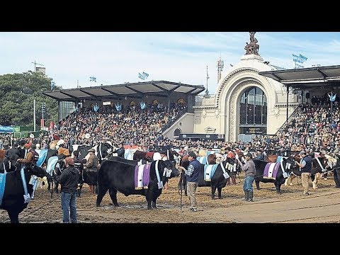 EXPO RURAL PALERMO 2017 PENSANDO EL CAMPO TV 17º