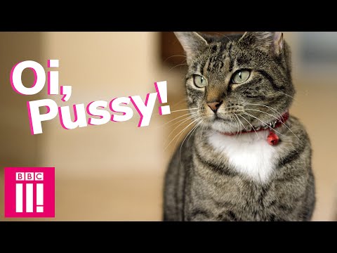 BBC Three - Customer Success Story