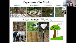 Pamela Templer: Climate Change &amp; Health