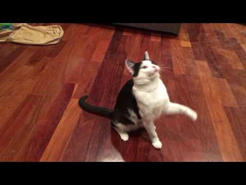 Neville Gets a Second Wind