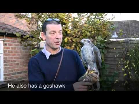 HDM 04-12-13 Wildlife artist John Naylor, Langtoft SK