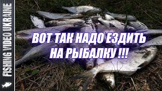 На десне рыбалка
