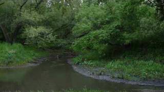 preview picture of video 'Linn Grove Wildlife Area'