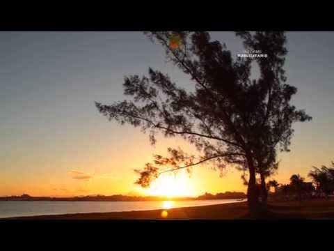 Prefeitura de Araruama - Pra viver melhor