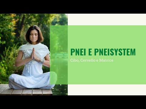 4°lezione: PNEI e Pneisystem