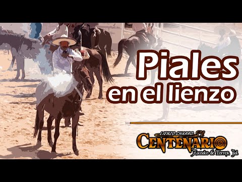 PIALES ON THE CANVAS - LCH El Centenario, Zacoalco 2019