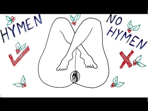 Sumit Miracle We - Myths about sex and virginity