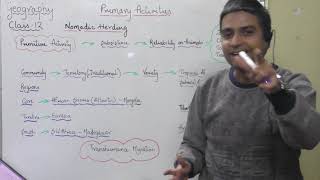 Nomadic herding  class 12  Geography Primary activities