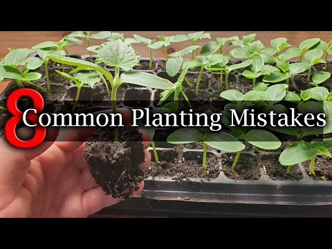 How To Reuse Old Potting Soil FOUR ways