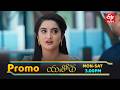 Yashoda Latest Promo Episode No 117 12th March 2026 ETV Telugu