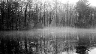 Pariah Demise - Land Of Sorrow