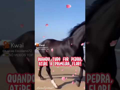 Nunca julgue ninguém ❤️🙏✌️