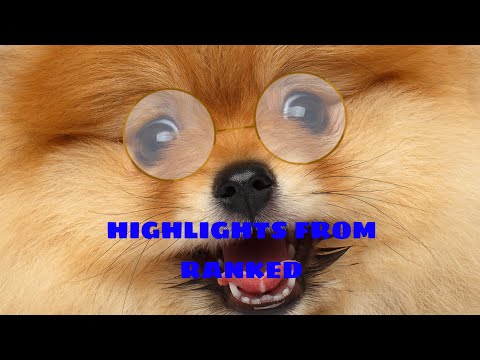 T4KEN | SEGA | Critical ops