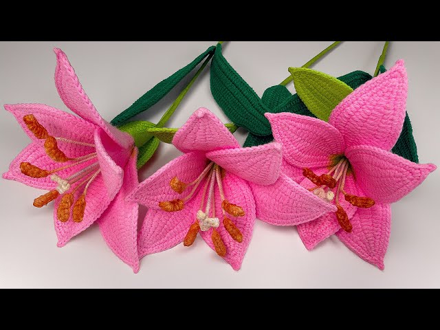 Vídeo relacionado con Genérico Flores de Ganchillo,Decoración Artesanal Hecha a Mano | Ramo de Flores de Ganchillo | para, Bodas, Primavera, Graduación, Navidad, Semana Santa, Celebraciones